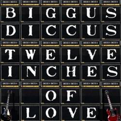 Twelve Inches of Love